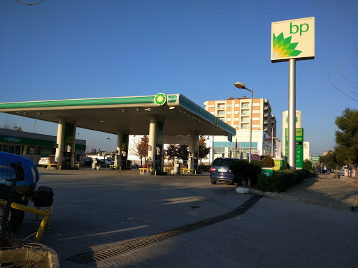 bp Aydın bp Aydın