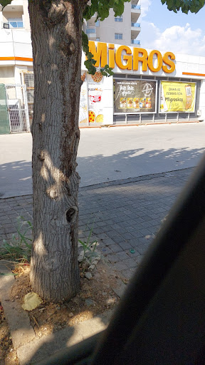 Aygaz-özden Ticaret Aydın Aygaz-özden Ticaret Aydın