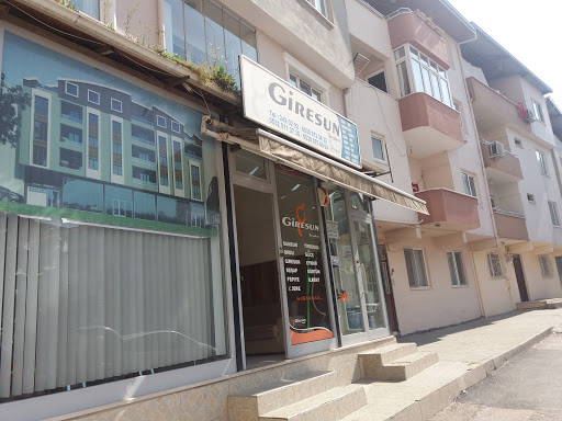 Giresun Seyahat Bursa Giresun Seyahat Bursa