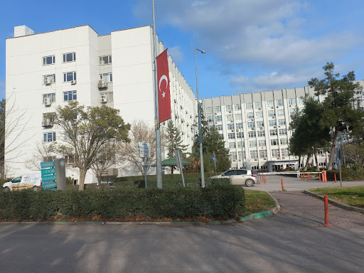 Bursa Uludağ Üniversitesi Tıp Fakültesi Hastanesi Bursa Bursa Uludağ Üniversitesi Tıp Fakültesi Hastanesi Bursa