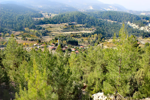 Çameli Denizli Çameli