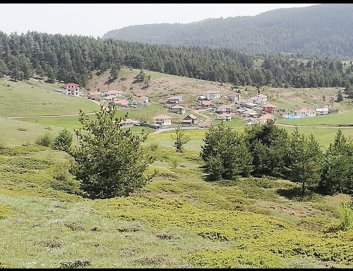 Yapraklı Çankırı Yapraklı Yapraklı Çankırı Yapraklı