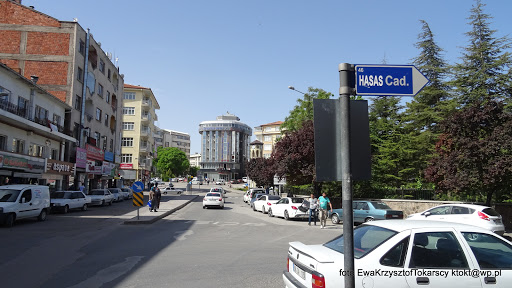 Canlı Eczanesi Aksaray Merkez Canlı Eczanesi Aksaray Merkez