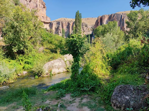 Çatak Van Çatak Çatak Van Çatak