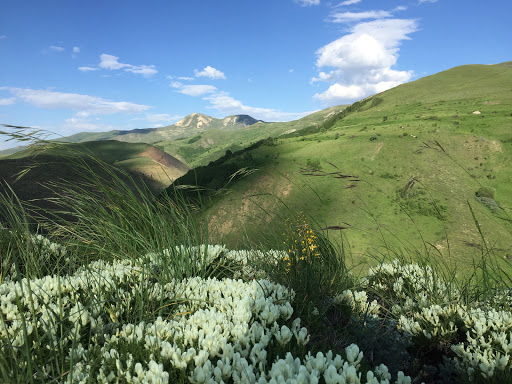 Çayırlı Erzincan Çayırlı Çayırlı Erzincan Çayırlı