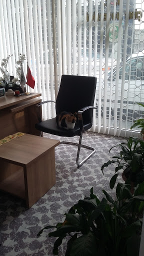 Çine Noterliği Aydın Çine Çine Noterliği Aydın Çine