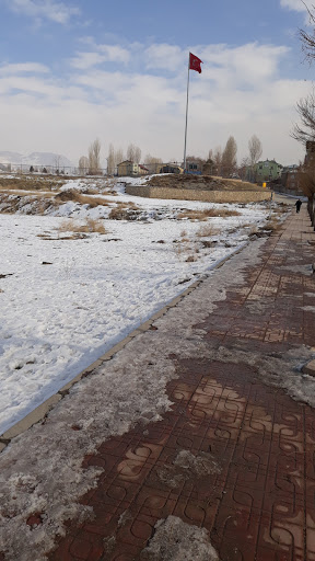 Delibaşlar Halı Yıkama Van Delibaşlar Halı Yıkama Van
