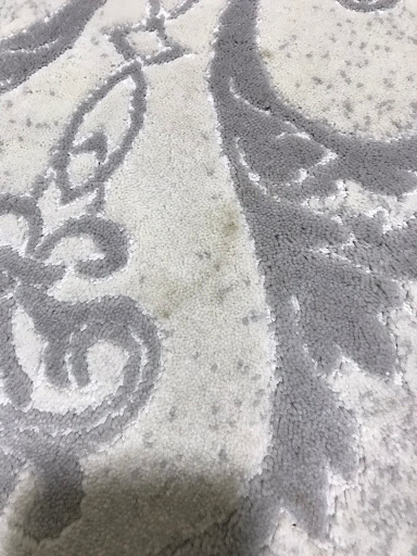 Mis Halı Yıkama Denizli Pamukkale Mis Halı Yıkama Denizli Pamukkale