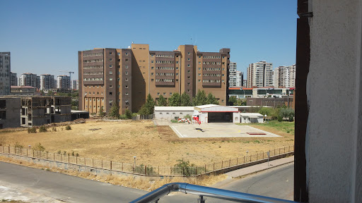 Diyarbakır Kadın Hastalıkları Doğum ve Çocuk Hastalıkları Hastanesi Diyarbakır Bağlar Diyarbakır Kadın Hastalıkları Doğum ve Çocuk Hastalıkları Hastanesi Diyarbakır Bağlar