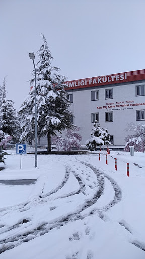 Erciyes Üniversitesi Diş Hekimliği Fakültesi Kayseri Melikgazi Erciyes Üniversitesi Diş Hekimliği Fakültesi Kayseri Melikgazi