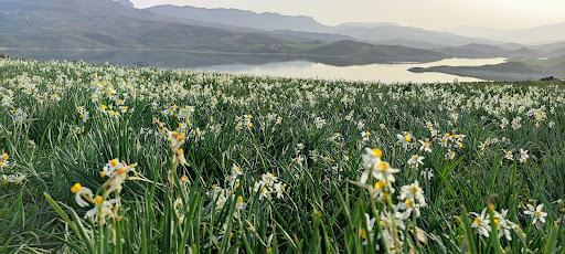 Gerger Adıyaman Gerger