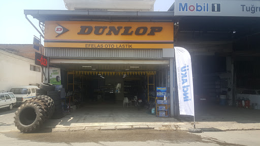Goodyear Efelas Oto Lastik Aydın 