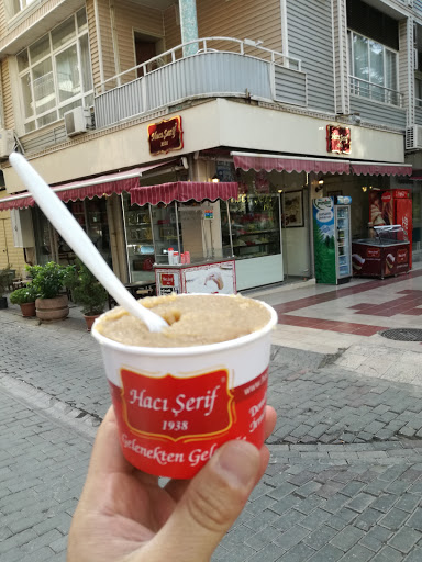 hacışerif Aydın Aydın hacışerif Aydın Aydın