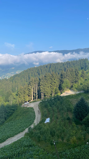 HURNOBO KAFE RESTORAN Trabzon Düzköy