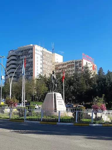 Dicle Üniversitesi Tıp Fakültesi Sağlık Ve Araştırma Hastanesi Diyarbakır Sur