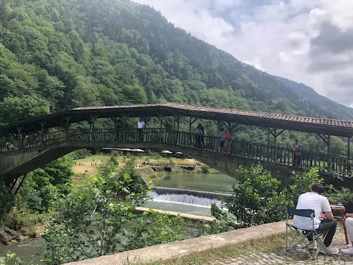 Seyahat 53 Turizm - Karadeniz, Gap ve Ege Turları Ankara Çankaya