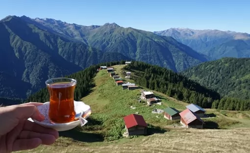 Rize Turları Vip - Pokut Yaylası Turu Rize Merkez