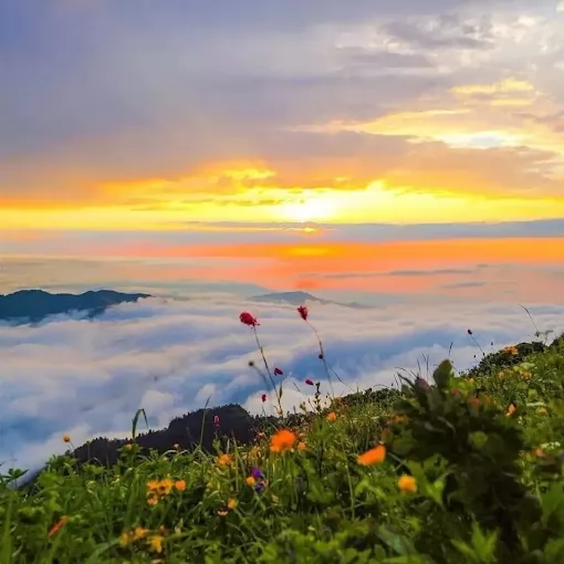 Huser Yaylası Turu Rize Merkez