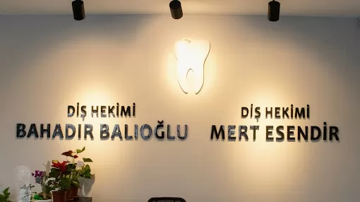 Diş Hekimi Mert Esendir - Diş Hekimi Bahadır Balıoğlu Edirne Merkez