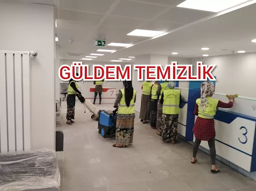 Güldem temizlik dezenfekte hizmeti Mardin Artuklu