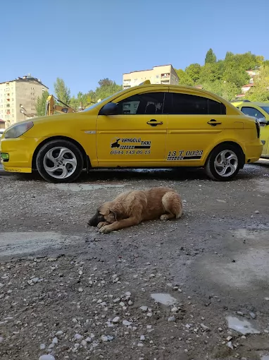 Vangölü Taksi Durağı Bitlis Merkez