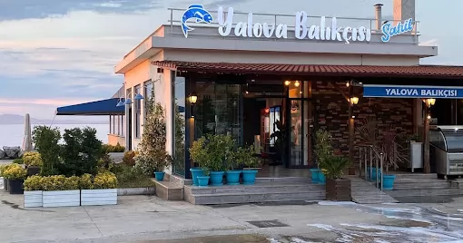 Yalova Balıkçısı Yalova Merkez