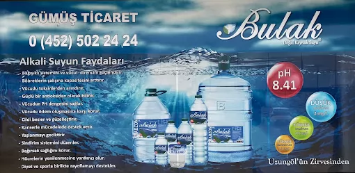 BULAK SU ORDU DAMACANA BAYİİ GÜMÜŞ TİCARET Ordu Altınordu