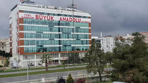 Büyük Anadolu Hastaneleri Samsun Samsun İlkadım