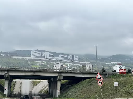 Samsun Şehir Hastanesi Samsun Canik