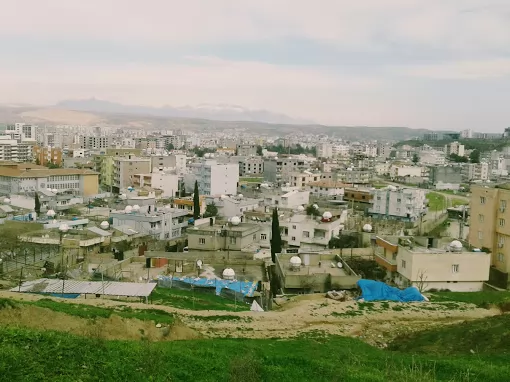 Foto Barış Şırnak Cizre