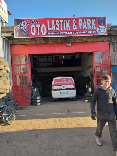 Ceylan Oto Lastik 7.24 Aksaray Merkez