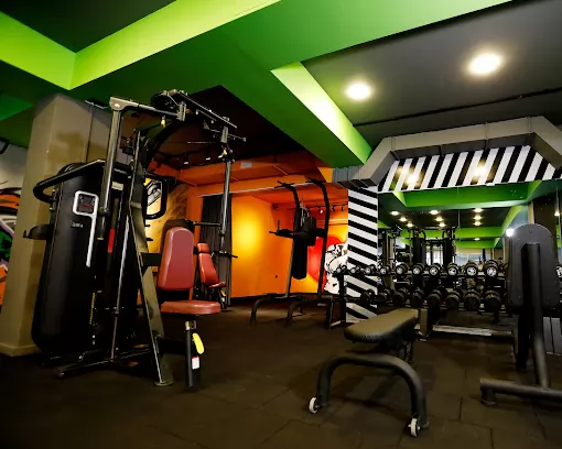 Fit Club - Rize Spor Salonu Fitness Rize Merkez