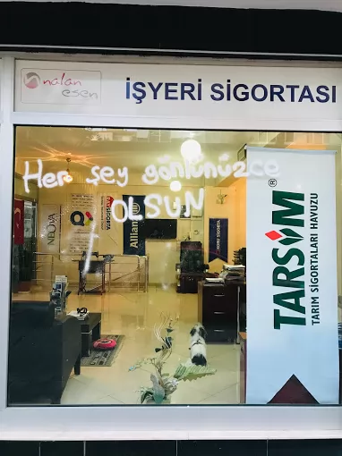 NESCO Sigorta & Danışmanlık Ltd. Şti. Aydın Efeler