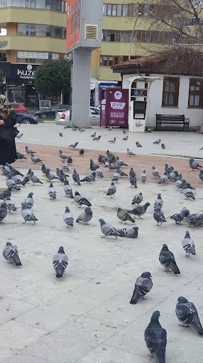 Jet Turizm Karabük Safranbolu