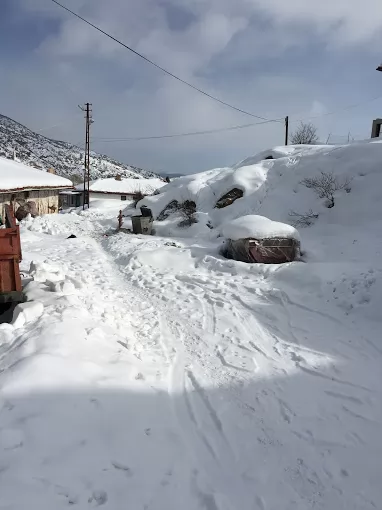 Yapraklı Eczanesi Çankırı Yapraklı