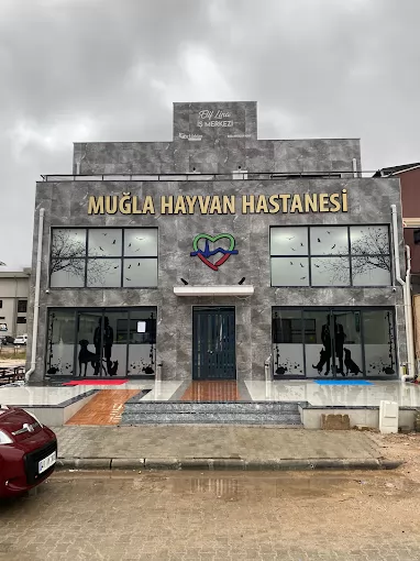 MUĞLA HAYVAN HASTANESİ Muğla Menteşe