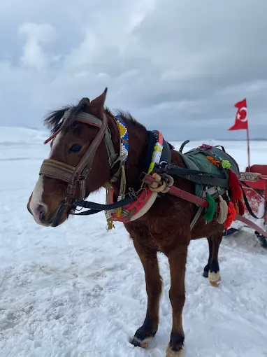 Batuhan Tur Kars Merkez