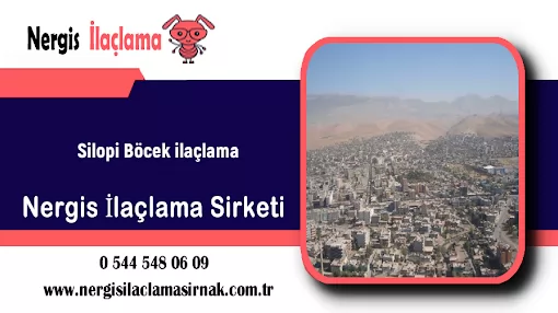 Şırnak Nergis İlaçlama Şırnak Merkez