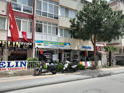 Pelin Nakliyat Yalova Merkez