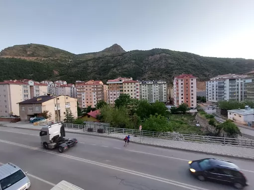 Mordut Taksi Gümüşhane Merkez