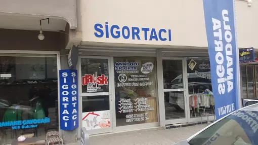 Sigortacı Muş Merkez