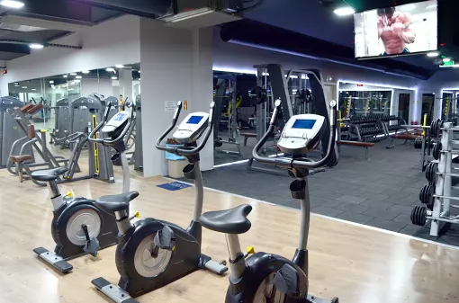 Muscle Gym İstanbul Beylikdüzü