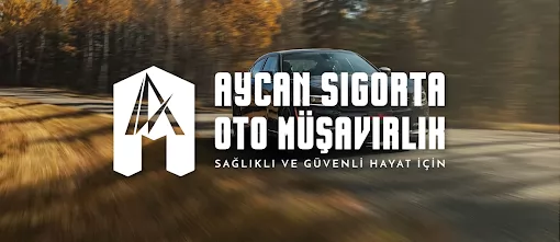 AYCAN OTO MUŞAVİRLİK Van İpekyolu