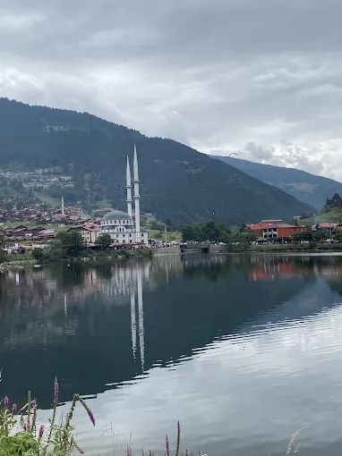 TZX Travel Trabzon Ortahisar