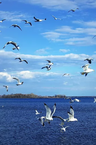 Vangölü Seyahat Turizm Hakkari Merkez