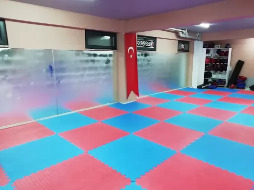 DİRİLİŞ Spor Kulübü Düzce Merkez