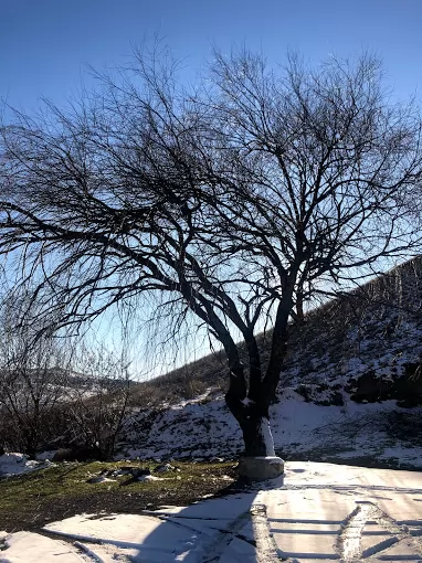 Yeni Kozaklı Turizm Seyahat Nevşehir Merkez