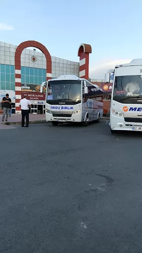 Samsun Kaftur Samsun İlkadım