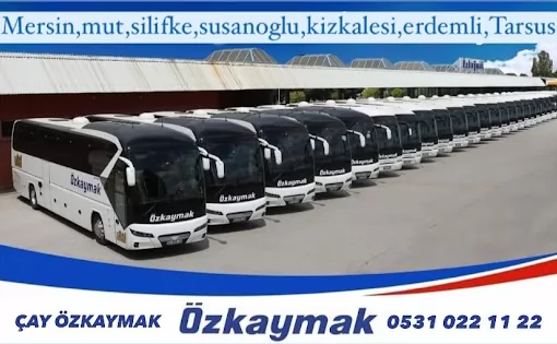 Çay Otogarı Afyonkarahisar Çay