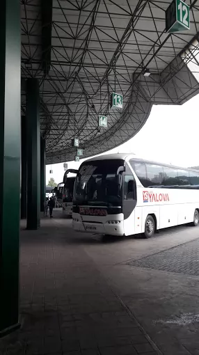 Pamukkale Turizm İzmit Otogar Şubesi Kocaeli İzmit